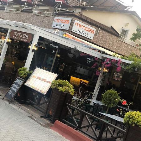 Mimoza Hotel Ölüdeniz Eksteriør billede